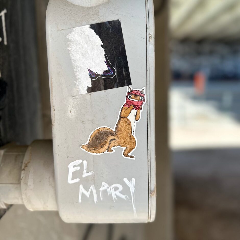Squirrel wearing a face mask sticker