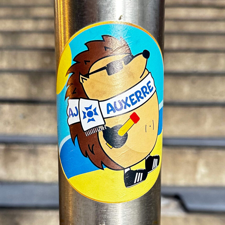 Hedgehog with sunglasses and scarf sticker