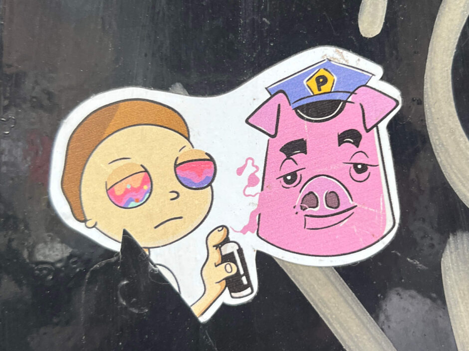 Boy pepper spraying pig cop