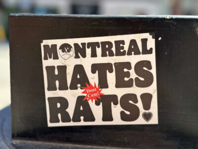Montreal hates rats sticker