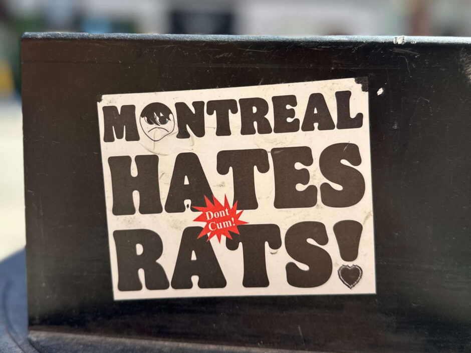 Montreal hates rats sticker