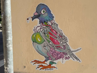 Zombie pigeon sticker
